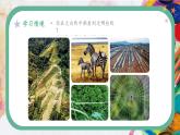 新人美版小学美术一年级上册第二单元第二课《欢快流畅的线》课件