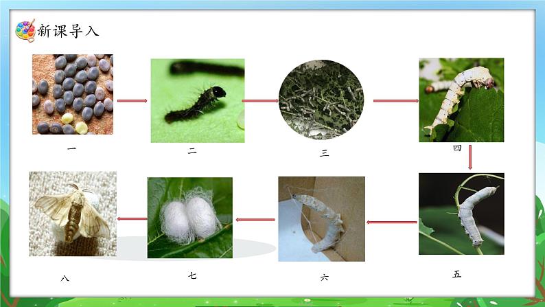 新人教版（2024）一年级上册美术第二单元 奉献最美 第2课时勤劳的蚕宝宝课件06