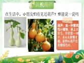 湘美版小学美术一上 第二单元 1 可爱的葫芦 课件
