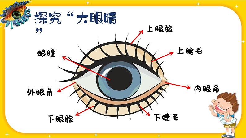 湘美版小学美术一上 第二单元 4 大眼睛 课件04