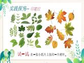 湘美版小学美术一上 第二单元 5 寻找肌理 课件