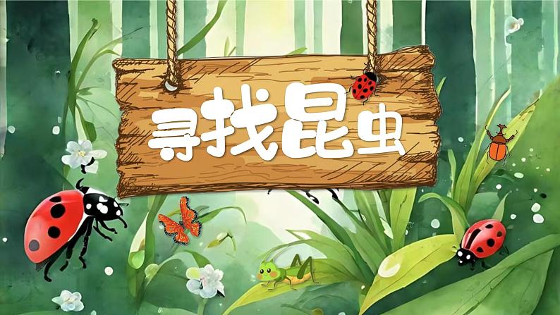 湘美版小学美术一上 第四单元 2 寻找昆虫 课件01