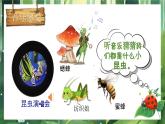 湘美版小学美术一上 第四单元 2 寻找昆虫 课件