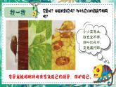 湘美版小學(xué)美術(shù)一上 第四單元 3 小小變色龍 課件