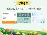 湘美版小学美术一上 第四单元 4 动物名片 课件
