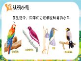 湘美版小学美术一上 第五单元 2 小鸟的旅行 课件