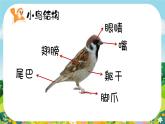 湘美版小学美术一上 第五单元 2 小鸟的旅行 课件