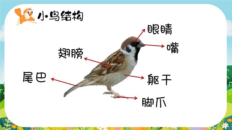 湘美版小学美术一上 第五单元 2 小鸟的旅行 课件04