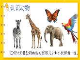 湘美版小学美术一上 第五单元 3 猜猜我是谁 课件