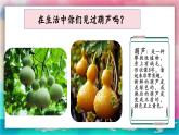 【湘美版】一上美術(shù)  第二單元第一課《可愛的葫蘆》課件+教案