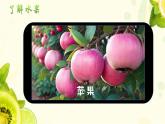 小學(xué)美術(shù)人教版一年級(jí)下冊(cè)13.各式各樣的水果1課件