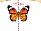 人教版美術(shù)二年級(jí)上冊(cè)第8課　對(duì)印的圖形 (2) 課件