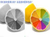 人教版美術(shù)二年級(jí)上冊(cè)第1課三原色與三間色 課件