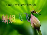 人教版美術(shù)二年級(jí)上冊(cè)第9課  教學(xué)課件 課件