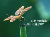 人教版美術(shù)二年級(jí)上冊(cè)第9課  教學(xué)課件 課件