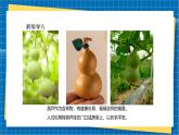 【新教材新課標(biāo)】湘美版美術(shù)一年級上冊第二單元第1課 可愛的葫蘆（課件+教學(xué)設(shè)計+視頻素材）