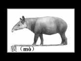 人教版 小學(xué)美術(shù) 二年級(jí)下冊(cè) 第10課 《腳印的聯(lián)想》課件
