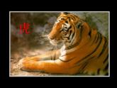 人教版 小學(xué)美術(shù) 二年級(jí)下冊(cè) 第10課 《腳印的聯(lián)想》課件