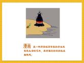 浙美版四年级上册美术第11课《漫画与生活》课件