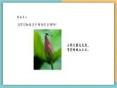 【新课标核心素养】岭南版美术四年级上册第11课《美丽的荷塘》课件+教学设计