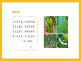 【新教材新課標(biāo)】人教版美術(shù)一年級(jí)上冊(cè)第2單元第2課《勤勞的蠶寶寶》課件+核心素養(yǎng)教案+視頻4