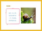 【新教材新課標(biāo)】人教版美術(shù)一年級(jí)上冊(cè)第3單元第2課《蝸牛的堅(jiān)持》課件+核心素養(yǎng)教案+視頻5