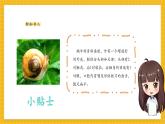 【新教材新課標(biāo)】人教版美術(shù)一年級(jí)上冊(cè)第3單元第2課《蝸牛的堅(jiān)持》課件+核心素養(yǎng)教案+視頻5