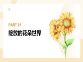 【核心素养目标】湘美版小学美术一年级下册第2课《花朵之美》授课PPT课件