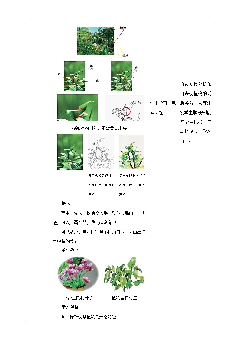 植物写生第2页