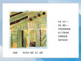 11《什物拼貼》（2024-2025）蘇少版美術(shù)二年級上冊PPT課件
