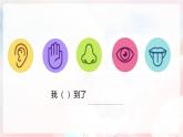 第二单元 奇妙的感官 - 小学美术一年级上册 同步教学课件+教案（苏少版2024）