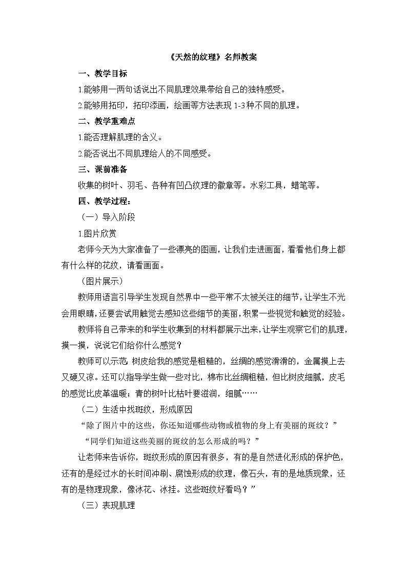 《天然的纹理》名师教案第1页