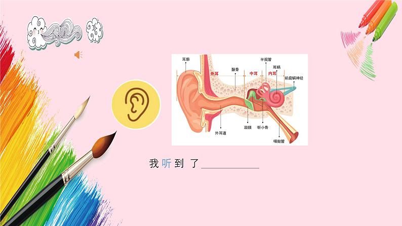 新教材苏少版小学美术一年级上册第二单元奇妙的感官第2课感官的秘密课件第6页