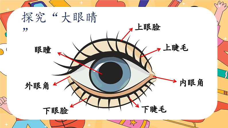 新教材湘美版小学一年级上册美术第二单元第四课 大眼睛课件第7页