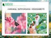 新教材赣美版美术一年级上册第二单元美丽的大自然第五课春夏秋冬课件