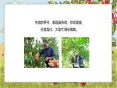 新教材赣美版美术一年级上册第三单元瓜果飘香第九课瓜果满园香课件