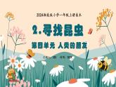 新教材湘美版小學一年級上冊美術第四單元第二課 尋找昆蟲課件