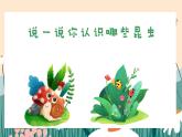 新教材湘美版小學一年級上冊美術第四單元第二課 尋找昆蟲課件