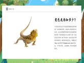 新教材湘美版小學(xué)一年級(jí)上冊美術(shù)第四單元第三課 小小變色龍課件