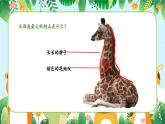 新教材湘美版小學(xué)一年級上冊美術(shù)第五單元第三課 猜猜我是誰課件