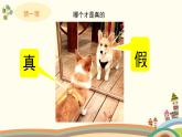 人美版（2024）美術(shù)三上第12課《對(duì)印版畫》精品課件