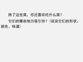 人教版（2024）美術(shù)四上第14課《做一道拿手“菜”》參考課件