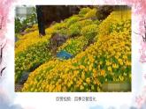人美版（2024）美術(shù)四上第1課《四季的色彩》名師課件1（部級）