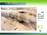 人美版（2024）美術(shù)五上第9課《創(chuàng)造綠色的生活》參考課件