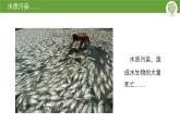人美版（2024）美術(shù)五上第9課《創(chuàng)造綠色的生活》名師課件