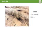 人美版（2024）美術(shù)五上第9課《創(chuàng)造綠色的生活》名師課件