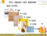 人美版（2024）美術(shù)五上第13課《拼貼添畫》精品課件