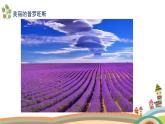 人美版（2024）美術(shù)五上第10課《色彩的色相》精品課件
