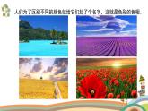 人美版（2024）美術(shù)五上第10課《色彩的色相》精品課件