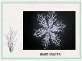 人美版（2024）美術(shù)一上第10課《剪剪撕撕貼貼畫畫》名師課件